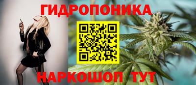альфа пвп Гусев