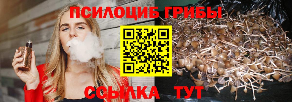 Трёхгорный  Псилоцибиновые грибы Magic Shrooms  Вход с VPN  Псилоцибиновые грибы Cubensis 